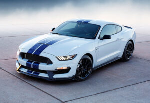Vehicle Single Thumbnail
